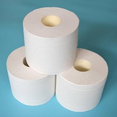 Toilet Paper _ Recycled Paper